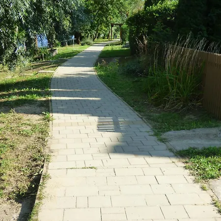 Pogacsas Ii