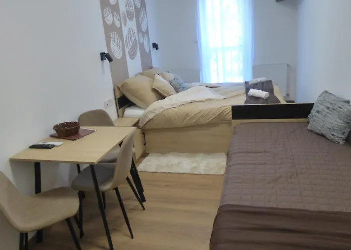 Pogácsás Ii Apartman Tokaj